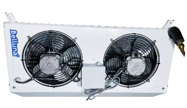 Belluna U102